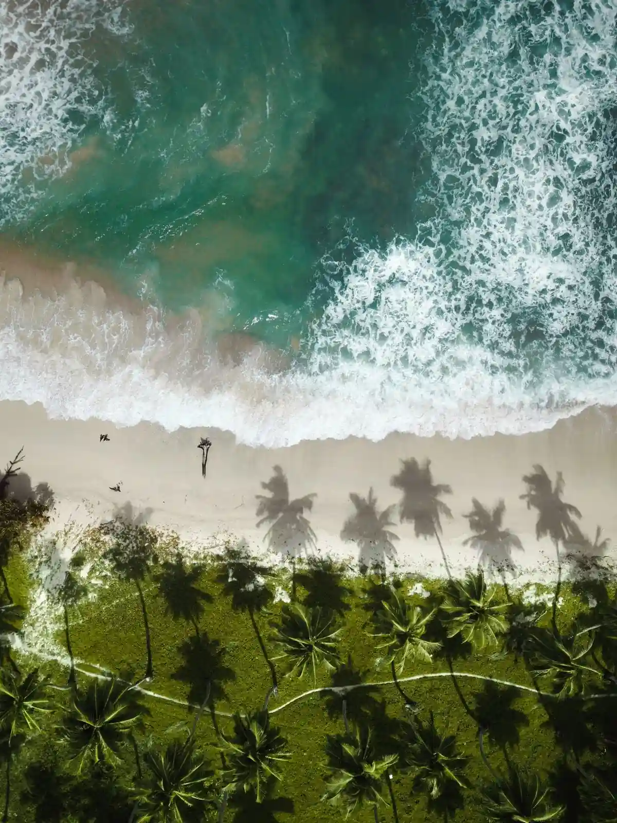 Andaman beach